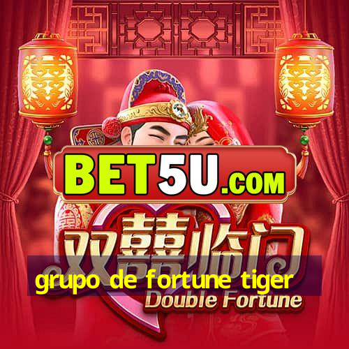 grupo de fortune tiger